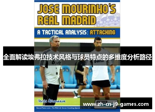 全面解读埃弗拉技术风格与球员特点的多维度分析路径