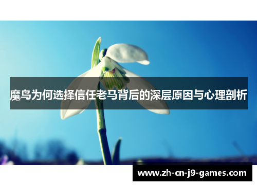魔鸟为何选择信任老马背后的深层原因与心理剖析