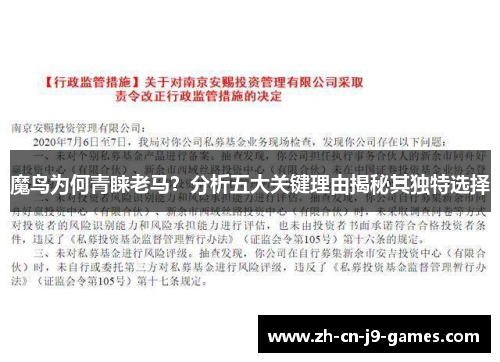 魔鸟为何青睐老马?分析五大关键理由揭秘其独特选择 魔鸟为何青睐老马?分析五大关键理由揭秘其独特选择