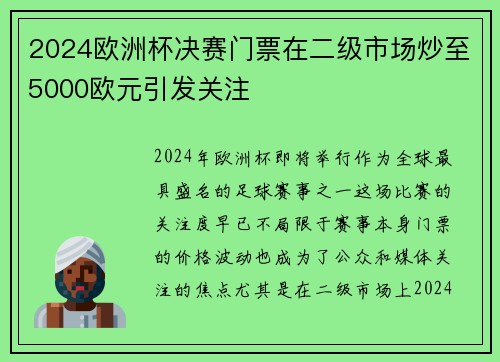 2024欧洲杯决赛门票在二级市场炒至5000欧元引发关注